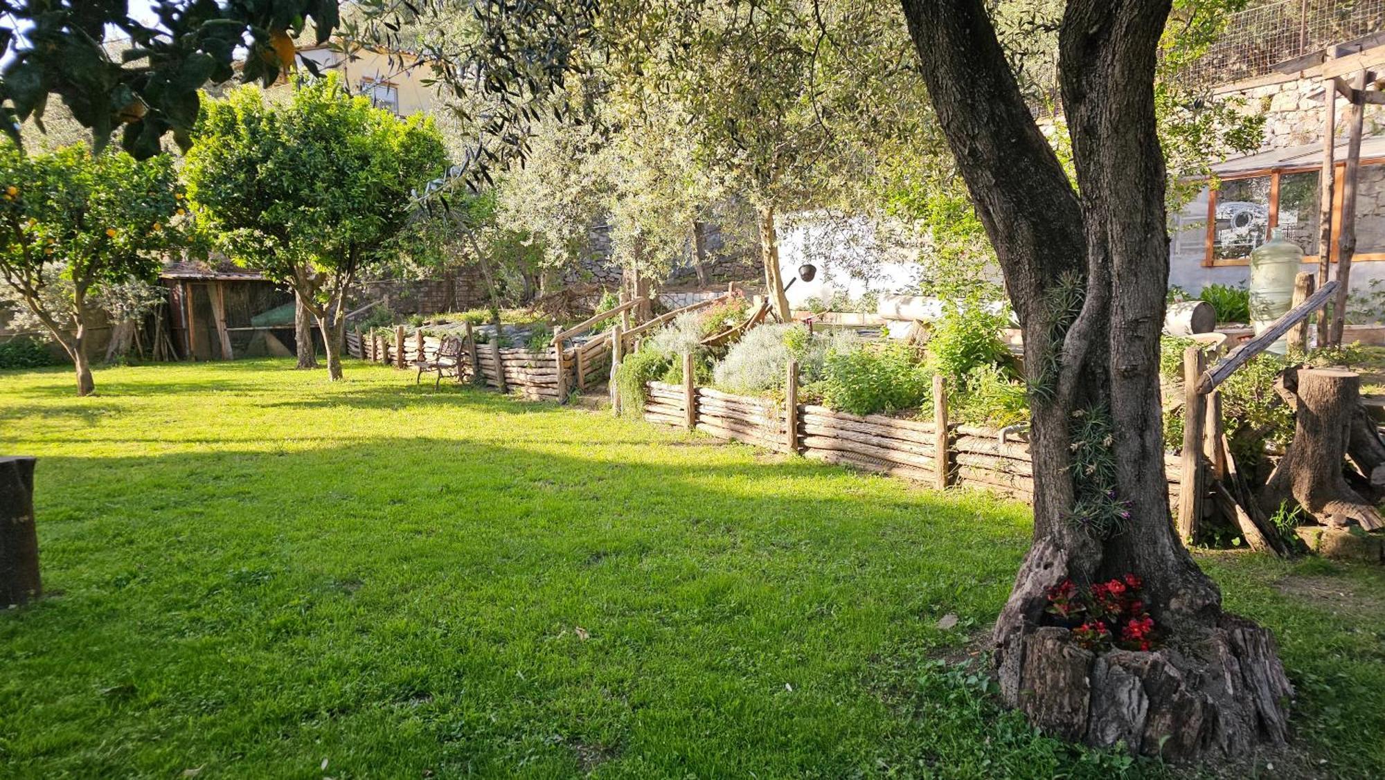 Ninfea Apartment Vico Equense Buitenkant foto